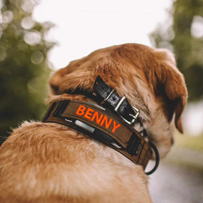 1.5" Extreme Personalized Fi Collar Band (Series 1 &2) - Image 4