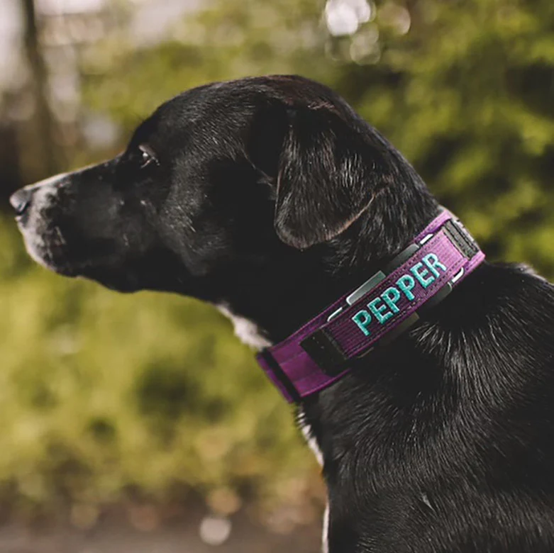1.5" Extreme Personalized Fi Collar Band (Series 1 &2) - Image 5