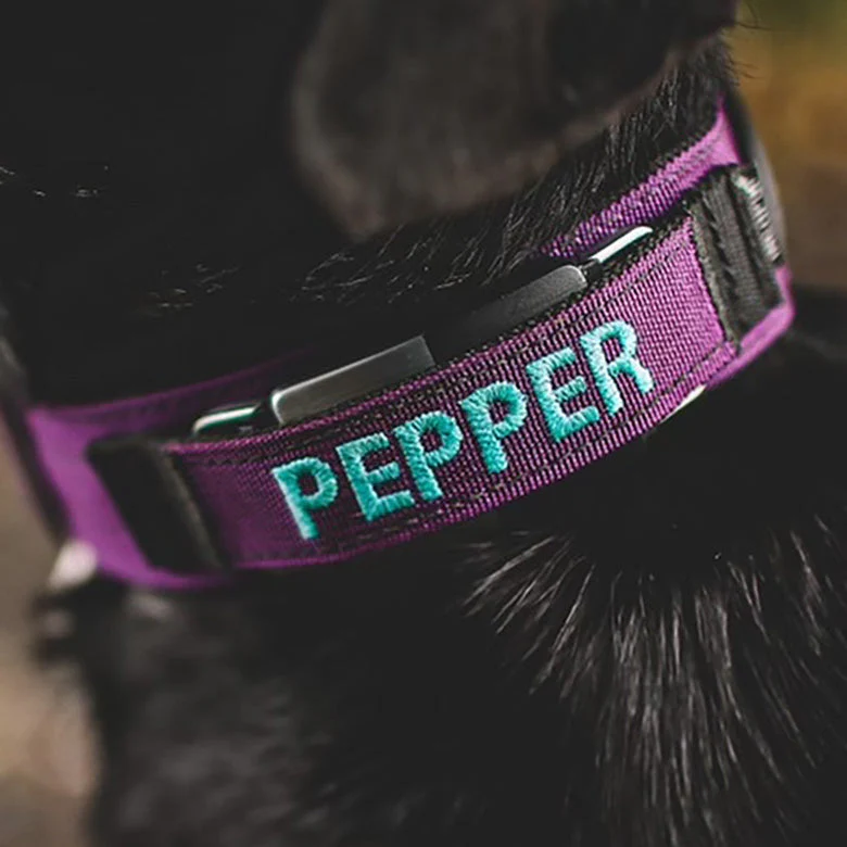 1.5" Extreme Personalized Fi Collar Band (Series 1 &2) - Image 6
