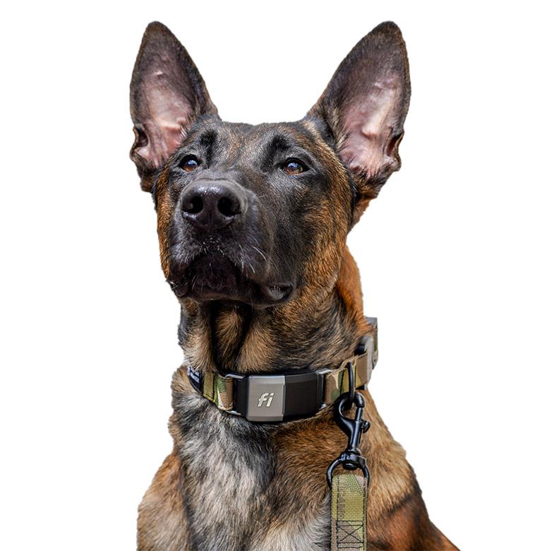 1" Extreme Fi Collar Band (Series 1 & 2) - Image 4