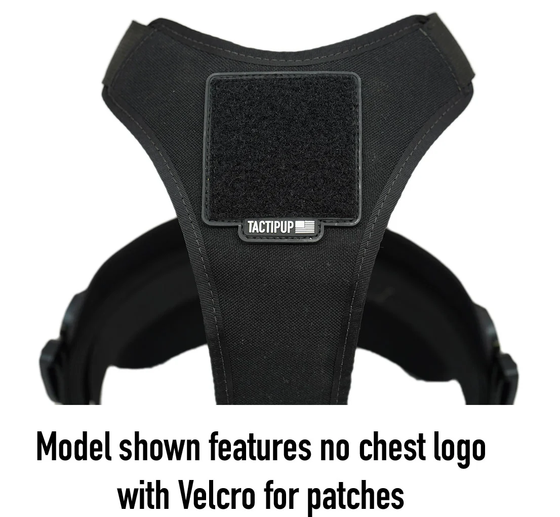 Extreme Harness with Metal Buckles - Image 11