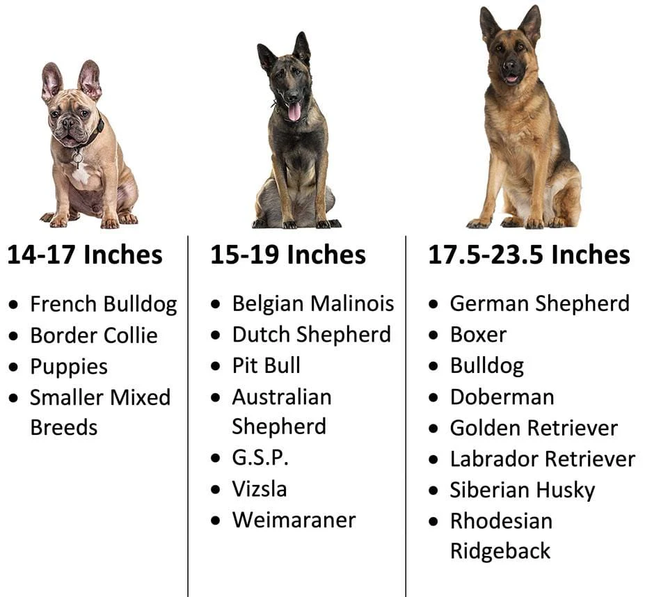Personalized 1.5" Basic Tactical Dog Collar - Image 4
