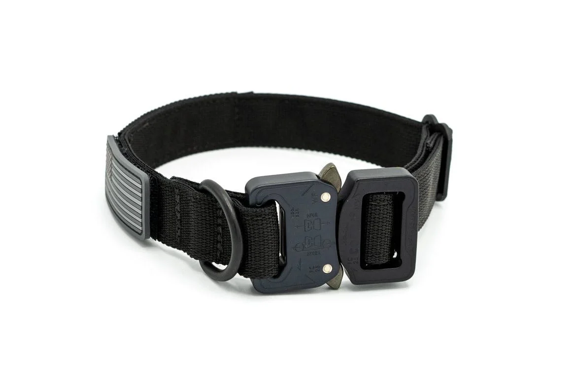 Personalized 1" Extreme Tactical Dog Collar - Image 4