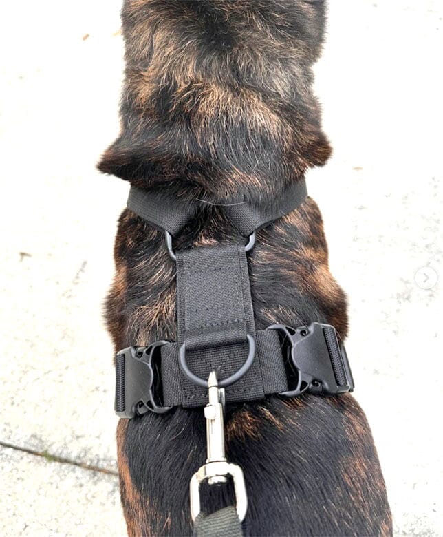 Recon Harness - Image 6