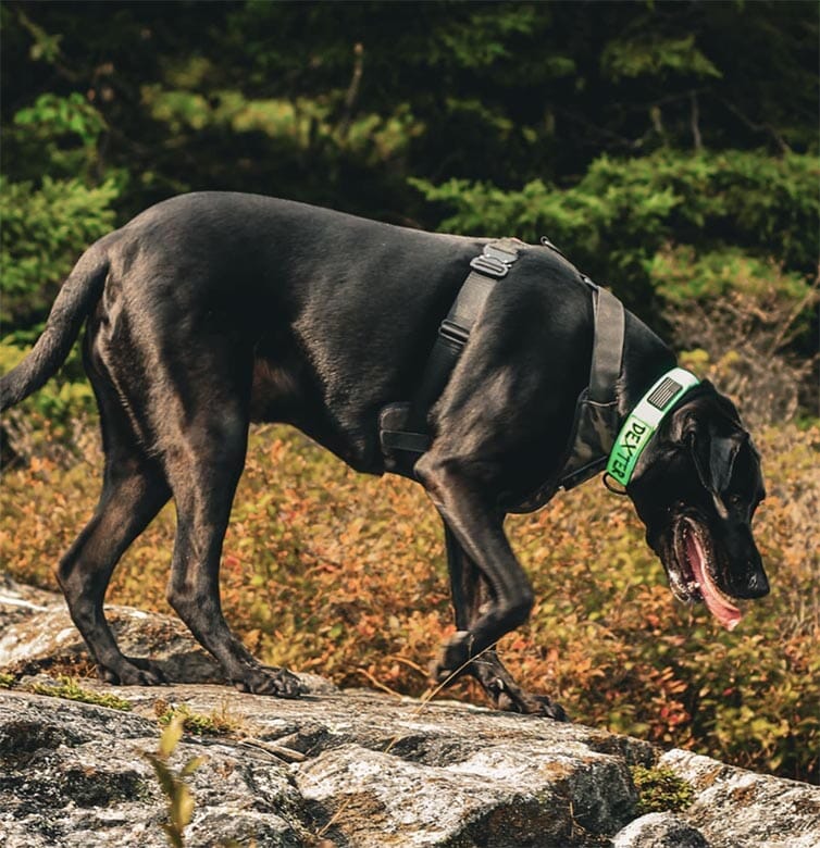 Recon Harness - Image 8