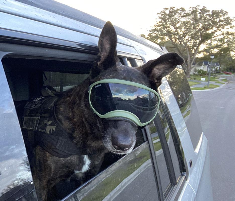 Rex Specs V2 Dog Goggles - Image 6